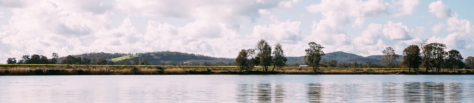 Photograph looking looking over the Hunter River banner image