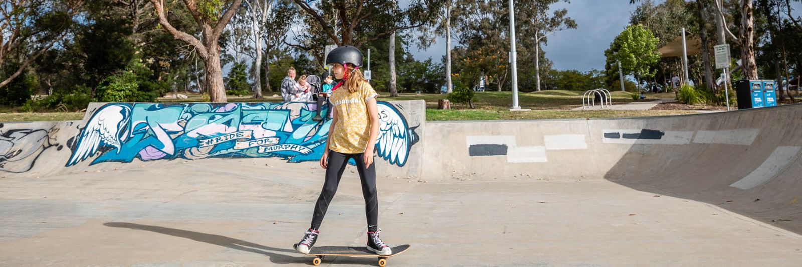 Boomerang skate park banner banner image