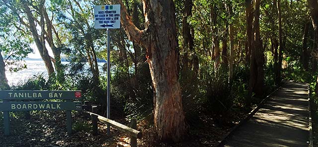 Tanilba Bay Boardwalk